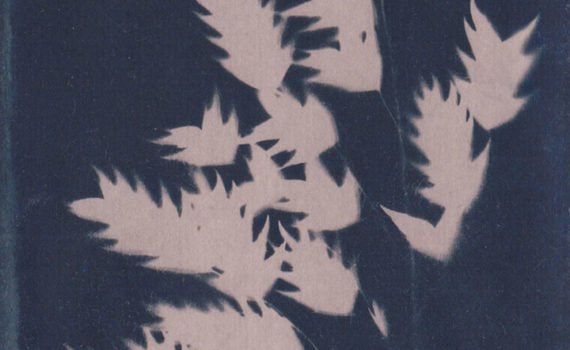 Photogramme au Cyanotype_02