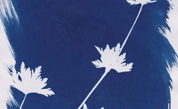 Photogramme au Cyanotype_09