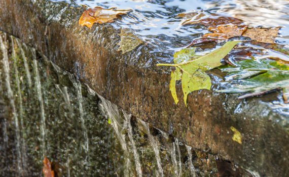 PHOTO DE LA SEMAINE 2019-43 Esplanade Photo