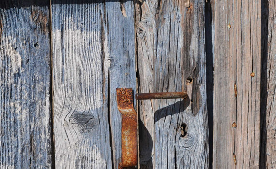 PHOTO DE LA SEMAINE 2019-47 Esplanade Photo