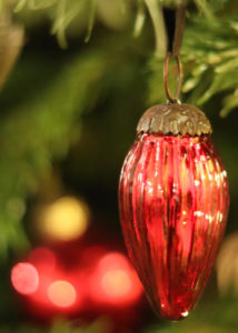 PHOTO DE LA SEMAINE 2019-51 Esplanade Photo