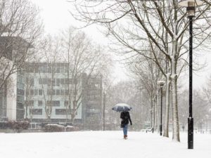 PHOTO DE LA SEMAINE 2020-05 Esplanade Photo