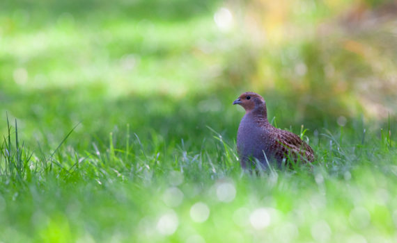 PHOTO DE LA SEMAINE 2020-06 Esplanade Photo