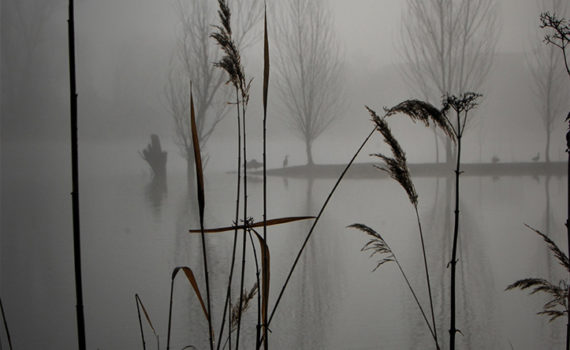 PHOTO DE LA SEMAINE 2020-07 Esplanade Photo