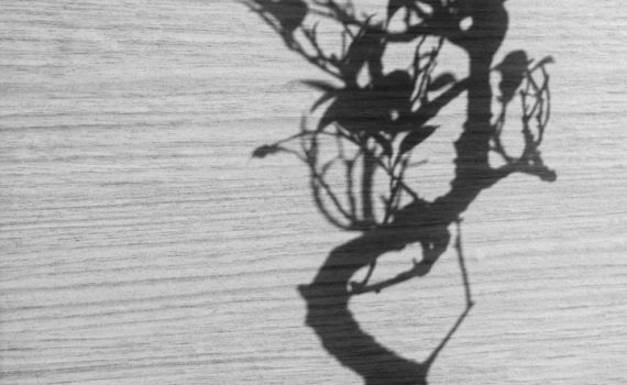 PHOTO DE LA SEMAINE 2020-13 Esplanade Photo