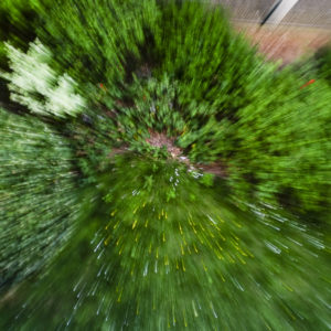 PHOTO DE LA SEMAINE 2020-17 Esplanade Photo