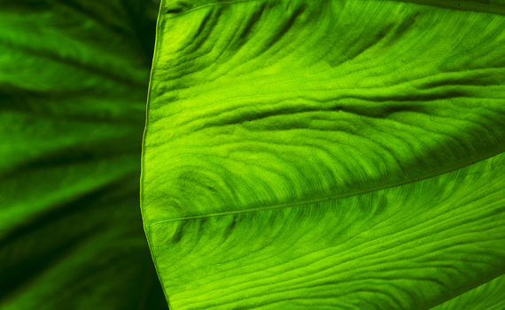 PHOTO DE LA SEMAINE 2020-18 Esplanade Photo