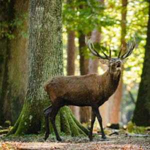 PHOTO DE LA SEMAINE 2020-31 Esplanade Photo