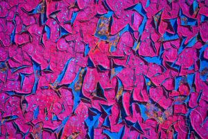 Esplanade Photo - SIGNES DU TEMPS 01