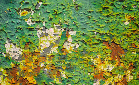 Esplanade Photo - SIGNES DU TEMPS 04