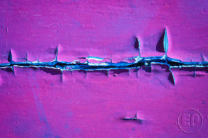 Esplanade Photo - SIGNES DU TEMPS 06