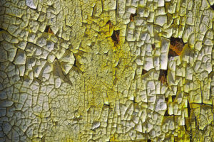 Esplanade Photo - SIGNES DU TEMPS 07