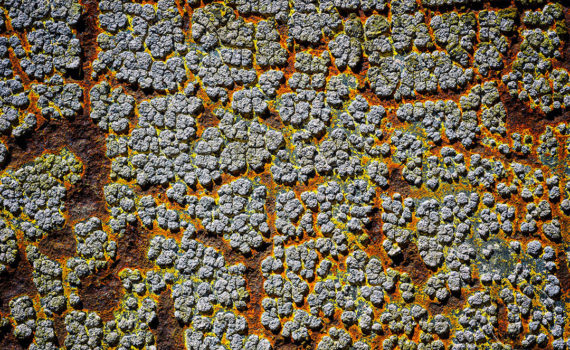 Esplanade Photo - SIGNES DU TEMPS 10