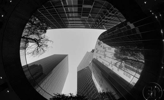 Esplanade Photo - Vue d'en bas de la Défense 10