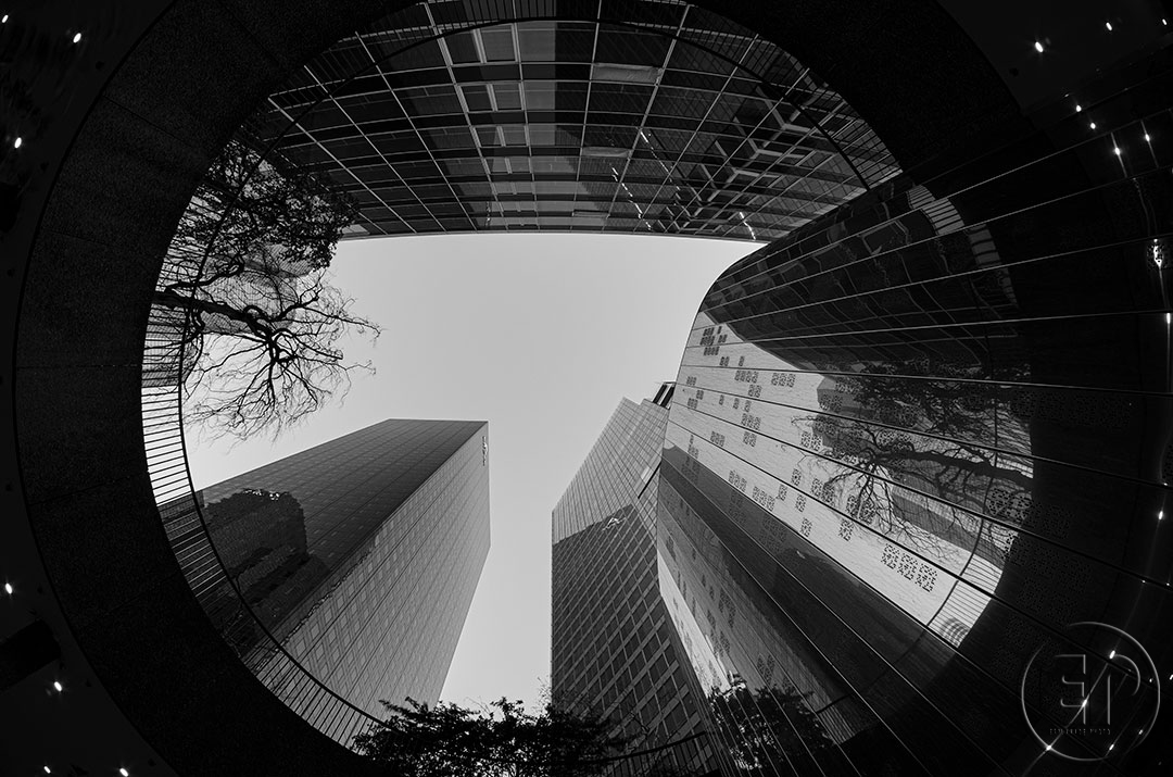 Esplanade Photo - Vue d'en bas de la Défense 10