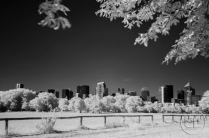Esplanade Photo - Vue sur la Défense en infrarouge 01