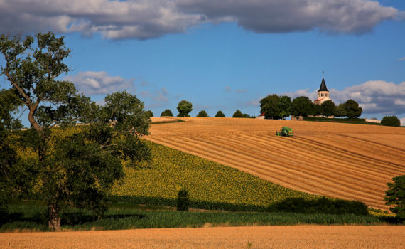 PHOTO DE LA SEMAINE 2020-33 Esplanade Photo