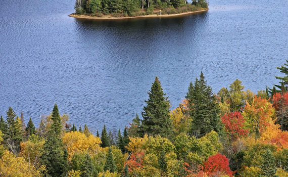 PHOTO DE LA SEMAINE 2020-44 Esplanade Photo