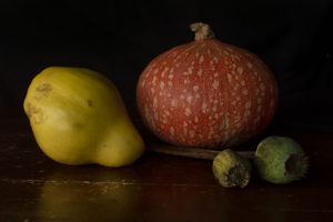 PHOTO DE LA SEMAINE 2020-45 Esplanade Photo