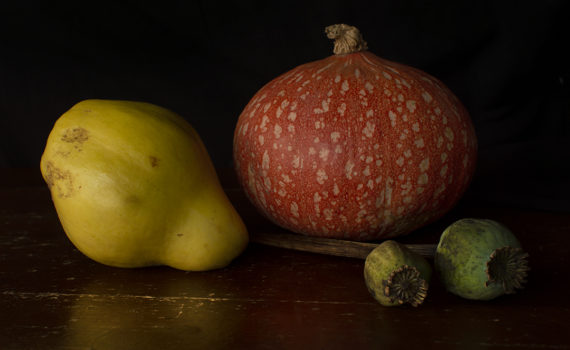 PHOTO DE LA SEMAINE 2020-45 Esplanade Photo