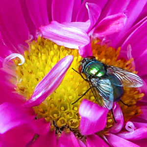 PHOTO DE LA SEMAINE 2020-47 Esplanade Photo