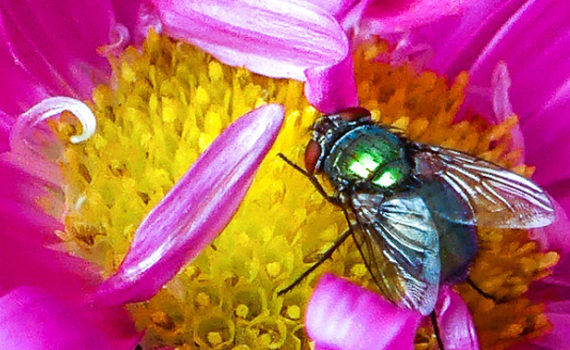 PHOTO DE LA SEMAINE 2020-47 Esplanade Photo