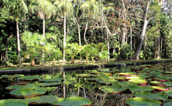PHOTO DE LA SEMAINE 2020-48 Esplanade Photo