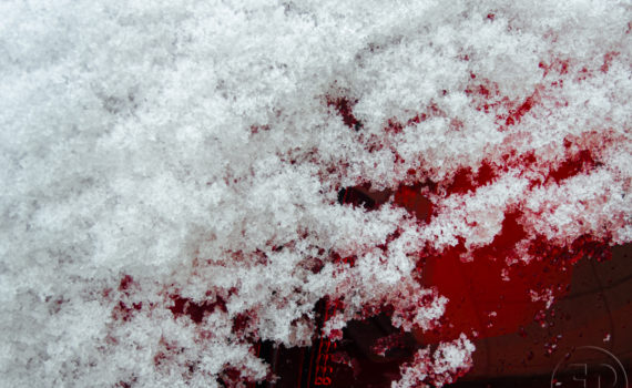 Neige à la Défense 2020_Esplanade-Photo_05