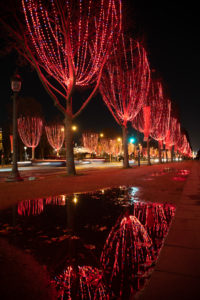 PHOTO DE LA SEMAINE 2020-52 Esplanade Photo