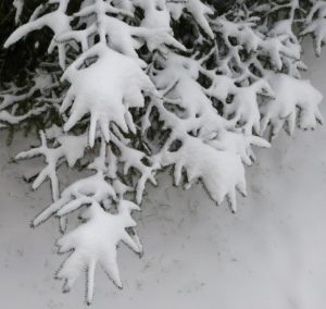 PHOTO DE LA SEMAINE 2021-03 Esplanade Photo