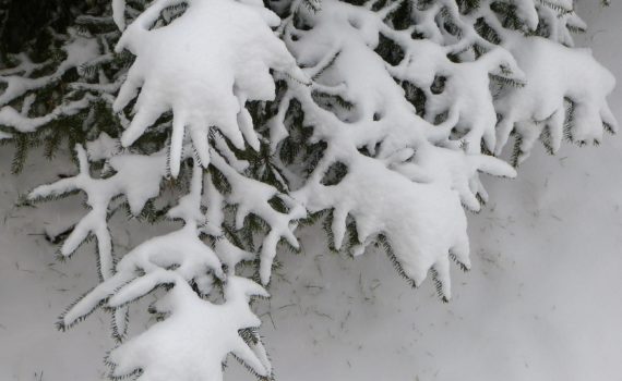 PHOTO DE LA SEMAINE 2021-03 Esplanade Photo