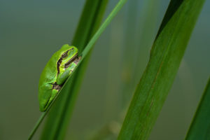 PHOTO DE LA SEMAINE 2021-05 Esplanade Photo