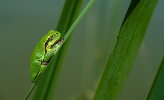 PHOTO DE LA SEMAINE 2021-05 Esplanade Photo