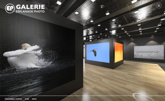 Galerie-Esplanade-Photo-François-H-02