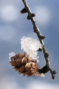 PHOTO DE LA SEMAINE 2021-07 Esplanade Photo