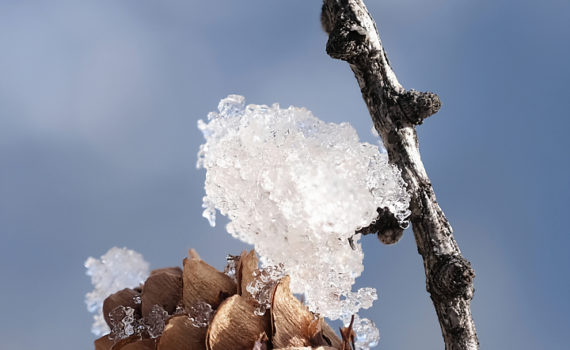 PHOTO DE LA SEMAINE 2021-07 Esplanade Photo