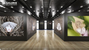 Galerie Esplanade Photo Marcus BRANDAO_02