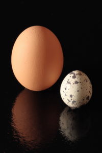 PHOTO DE LA SEMAINE 2021-14 Esplanade Photo