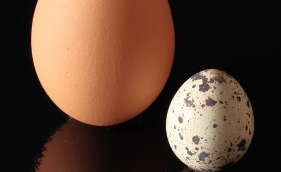 PHOTO DE LA SEMAINE 2021-14 Esplanade Photo