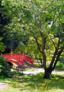 PHOTO DE LA SEMAINE 2021-15 Esplanade Photo