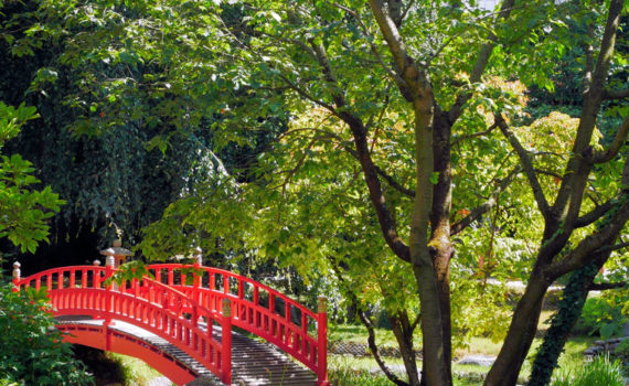 PHOTO DE LA SEMAINE 2021-15 Esplanade Photo