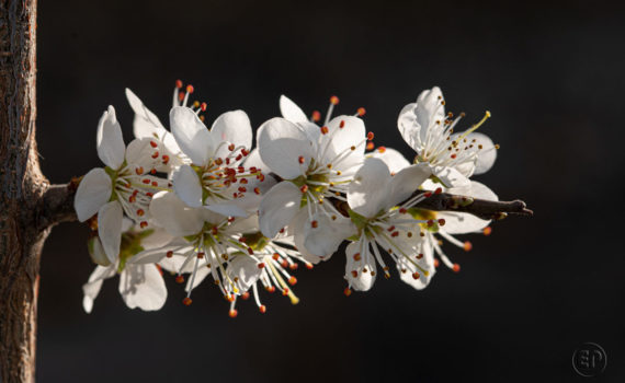 Silence ça pousse à la Défense_02