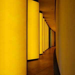 PHOTO DE LA SEMAINE 2021-16 Esplanade Photo