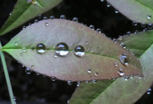 PHOTO DE LA SEMAINE 2021-19 Esplanade Photo