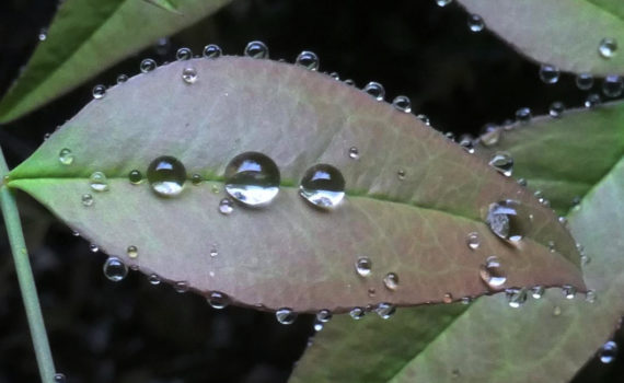 PHOTO DE LA SEMAINE 2021-19 Esplanade Photo