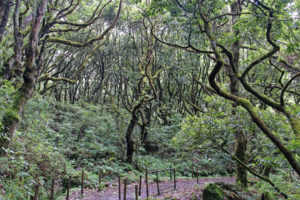 PHOTO DE LA SEMAINE 2021-32 Esplanade Photo