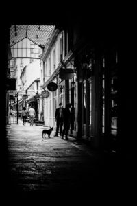 PHOTO DE LA SEMAINE 2021-36 Esplanade Photo