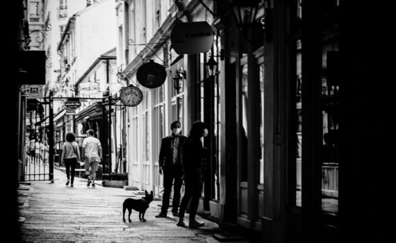 PHOTO DE LA SEMAINE 2021-36 Esplanade Photo