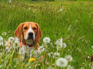 PHOTO DE LA SEMAINE 2021-38 Esplanade Photo
