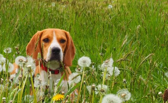 PHOTO DE LA SEMAINE 2021-38 Esplanade Photo